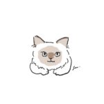 <strong>友達のキティ</strong>